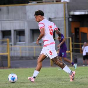 brocchi